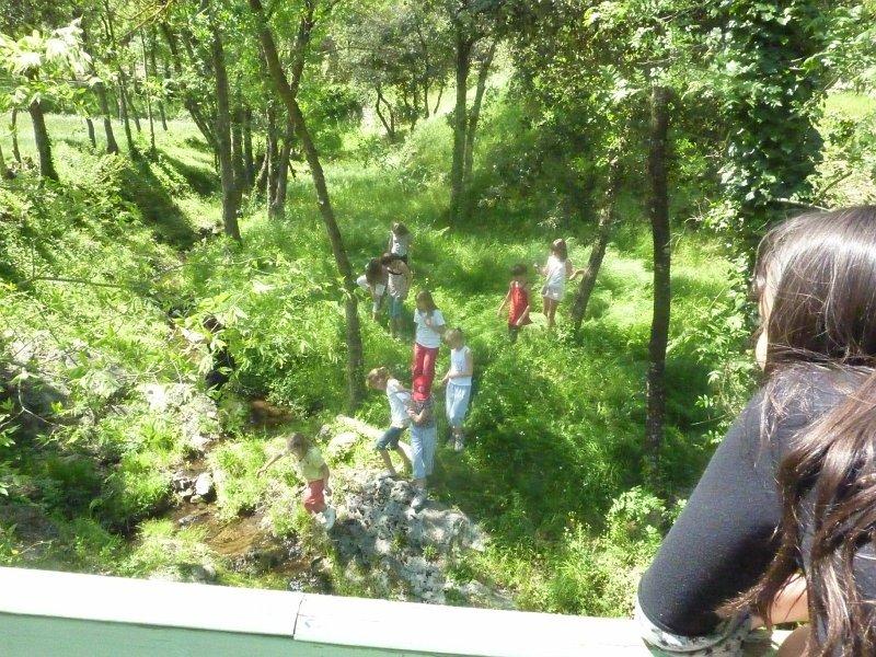 P1020844 [1600x1200].JPG